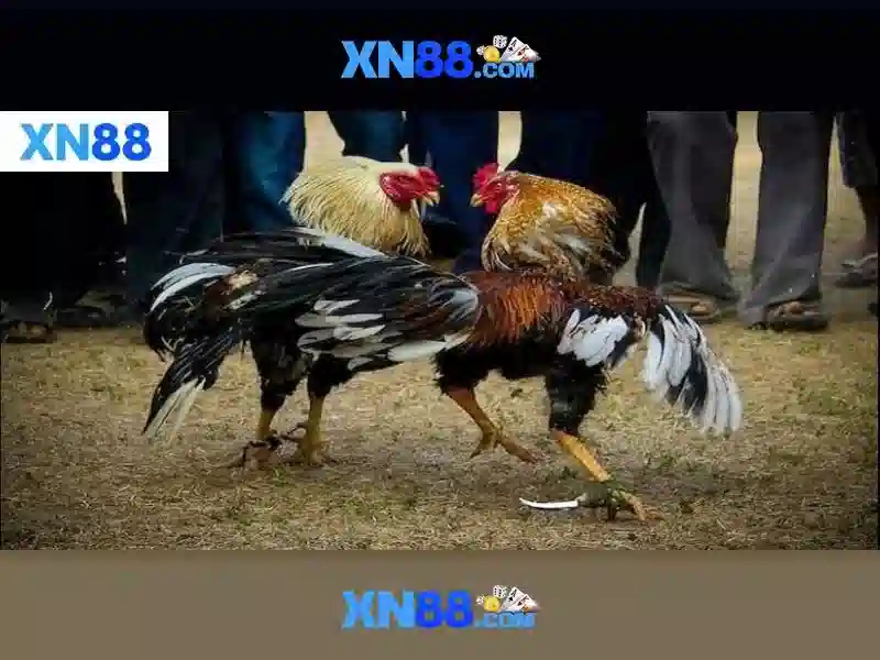 💎casino world free online slots💎 💎casino world free online slots💎