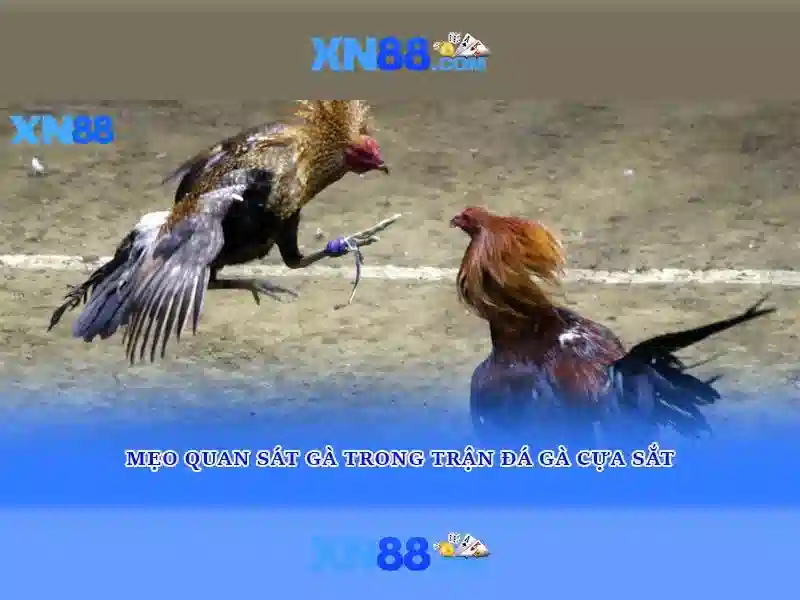 💎ags online slots💎 💎ags online slots💎