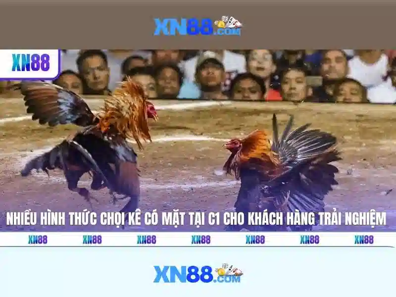 💎cách đăng ký trang cá cược bóng đá💎 💎cách đăng ký trang cá cược bóng đá💎