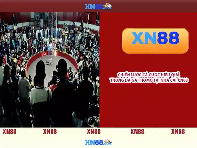 💎tình ca biển bạc đồng xanh song ca💎 💎tình ca biển bạc đồng xanh song ca💎