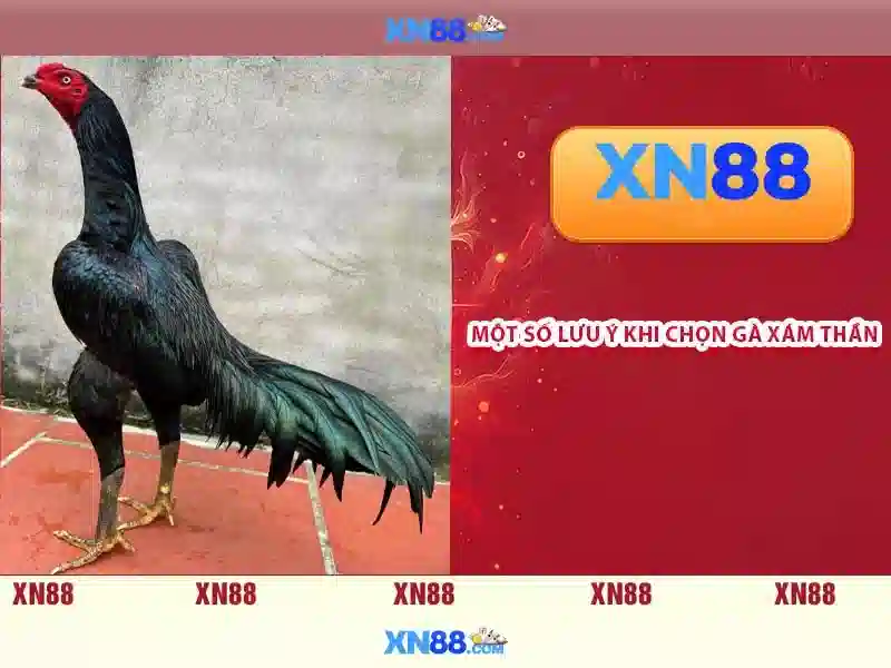 💎through wall mail slot sleeve💎 💎through wall mail slot sleeve💎