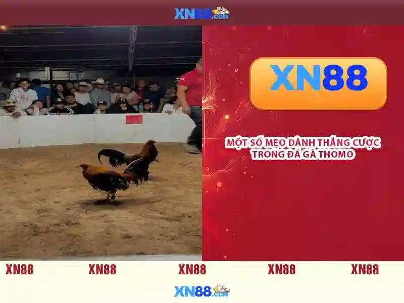 💎idn pusat slot💎 💎idn pusat slot💎