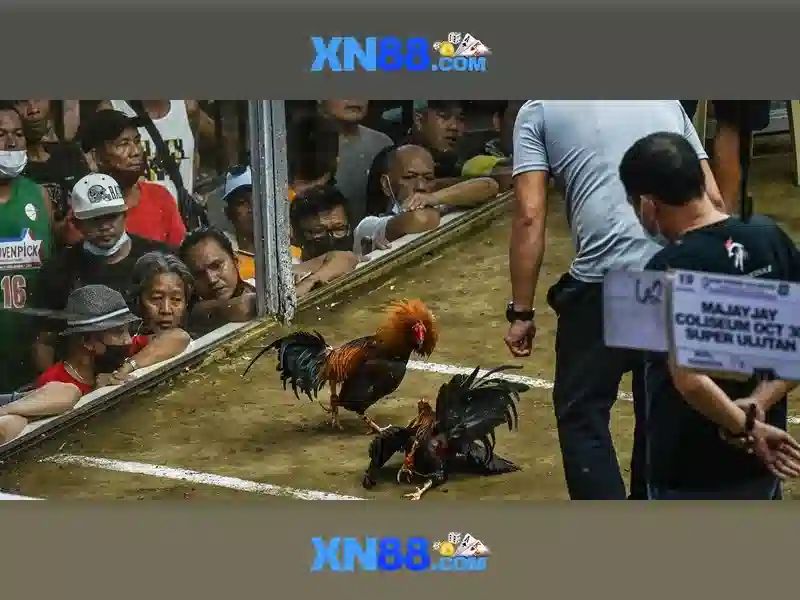 💎best real money slot apps💎 💎best real money slot apps💎