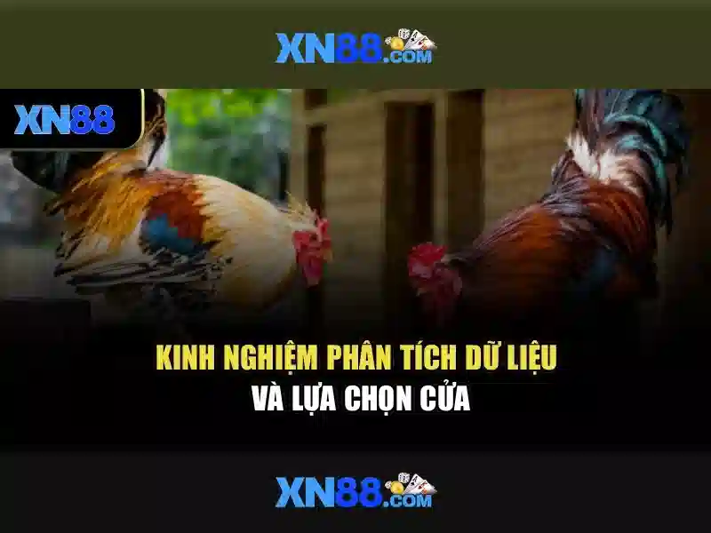 💎xem sòng bạc cát tường💎 💎xem sòng bạc cát tường💎