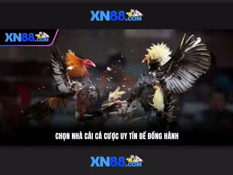 💎gold fish casino slots community💎 💎gold fish casino slots community💎