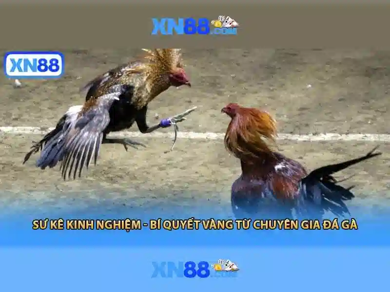 💎tội tổ chức đánh bạc bao nhiêu năm tù💎 💎tội tổ chức đánh bạc bao nhiêu năm tù💎