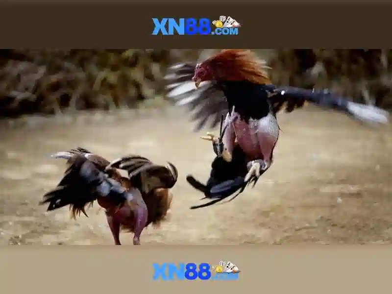 💎what are slots in python💎 💎what are slots in python💎