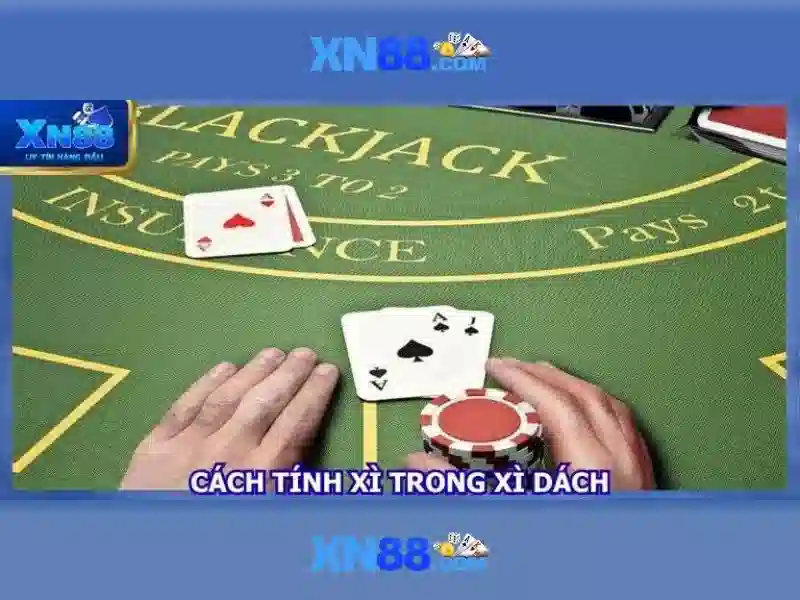 💎coral island equipment slots💎 💎coral island equipment slots💎