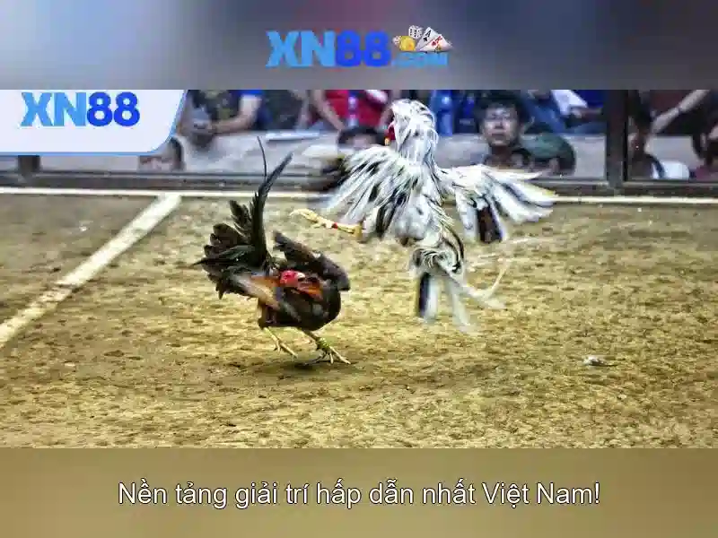 💎slot auto wallet ฝาก20รับ100 ล่าสุด 2020💎 💎slot auto wallet ฝาก20รับ100 ล่าสุด 2020💎