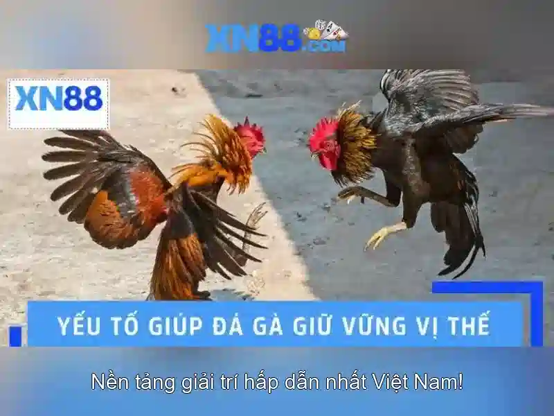 💎tỷ lệ kèo nhà cái 5.top💎 💎tỷ lệ kèo nhà cái 5.top💎