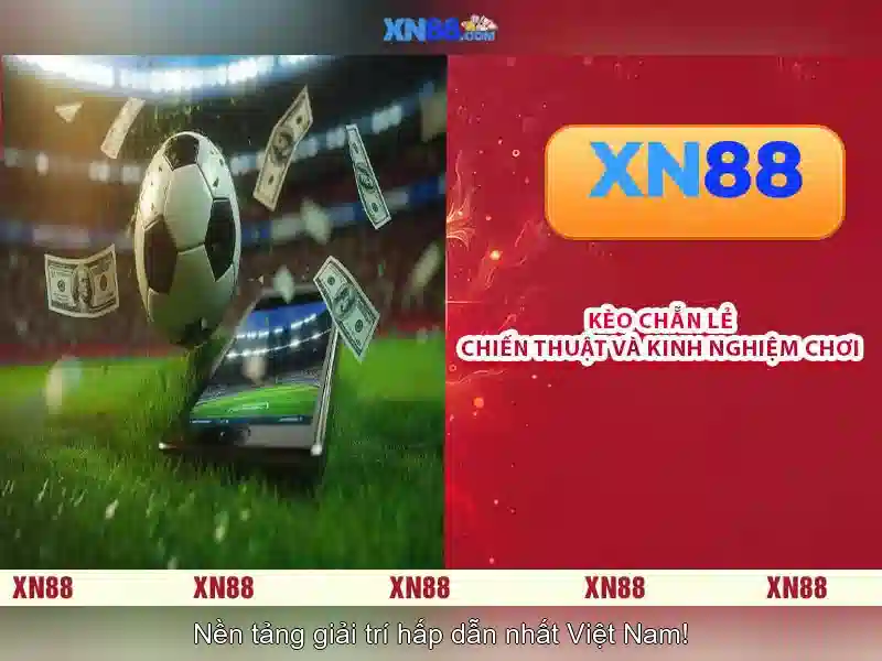 💎what video card slot💎 💎what video card slot💎