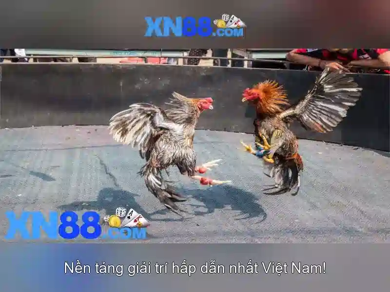 💎bison fury the stampede slot💎 💎bison fury the stampede slot💎